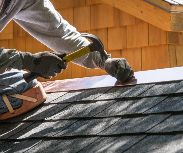 Roof Gutter Cleaning in Sterling, AK